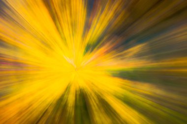 Soyut fotoğraf, sonbaharda orman hareket ve yakınlaştırmanın farklı etkileriyle fotoğraflanmış. Renkli desenli arka plan. uzun deklanşör hızı.