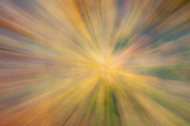 Soyut fotoğraf, sonbaharda orman hareket ve yakınlaştırmanın farklı etkileriyle fotoğraflanmış. Renkli desenli arka plan. uzun deklanşör hızı.