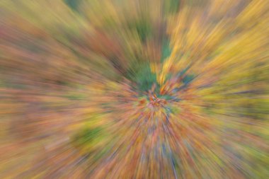 Soyut fotoğraf, sonbaharda orman hareket ve yakınlaştırmanın farklı etkileriyle fotoğraflanmış. Renkli desenli arka plan. uzun deklanşör hızı.