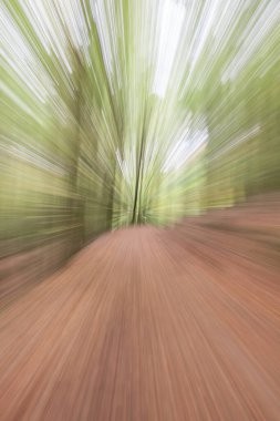 Soyut fotoğraf, Summar 'daki orman yolu farklı hareket ve yakınlaştırma efektleriyle fotoğraflanmış. Renkli desenli arka plan. uzun deklanşör hızı.