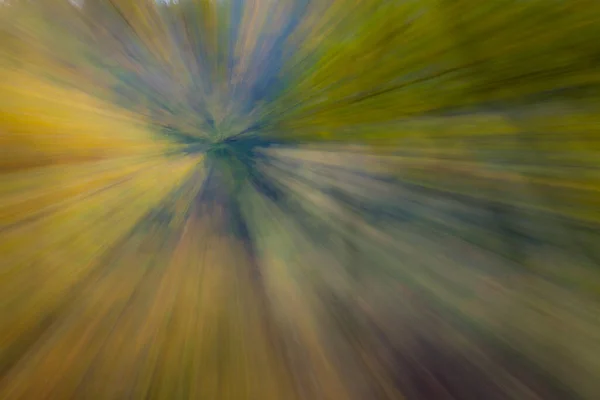 Foto Abstracta Bosque Otoño Fotografiado Con Diferentes Efectos Movimiento Zoom — Foto de Stock