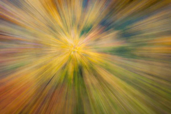 Abstract Photo Forest Autumn Photographed Different Effects Motion Zoom Colorful — Stock Photo, Image