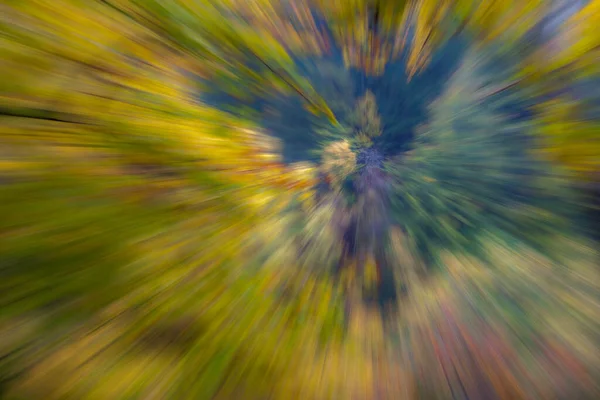 Soyut Fotoğraf Sonbaharda Orman Hareket Yakınlaştırmanın Farklı Etkileriyle Fotoğraflanmış Renkli — Stok fotoğraf