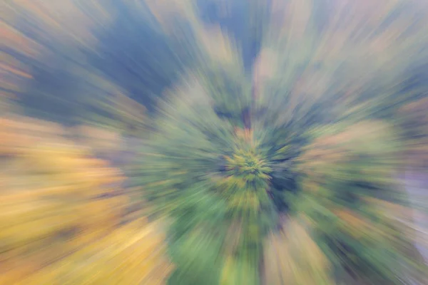 Abstract Photo Forest Autumn Photographed Different Effects Motion Zoom Colorful — Stock Photo, Image