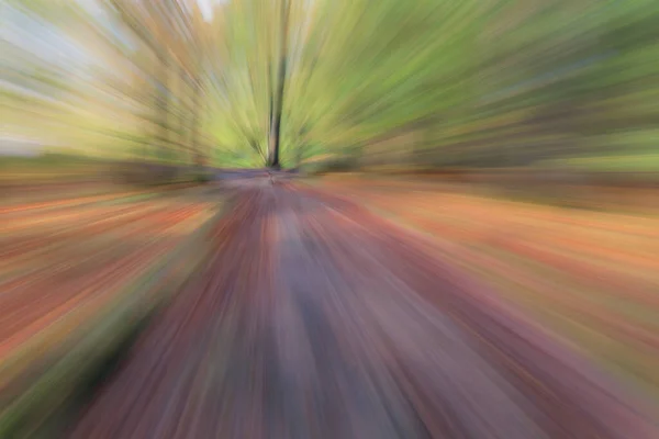 Abstract Photo Forest Road Summar Photographed Different Effects Motion Zoom — Stock Photo, Image