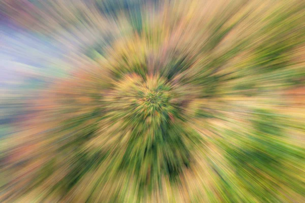 Abstract Photo Forest Autumn Photographed Different Effects Motion Zoom Colorful — Stock Photo, Image