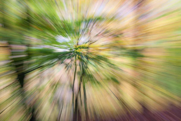Foto Abstrata Floresta Outono Fotografada Com Diferentes Efeitos Movimento Zoom — Fotografia de Stock