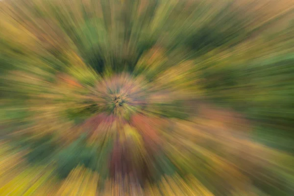 Photo Abstraite Forêt Automne Photographiée Avec Différents Effets Mouvement Zoom — Photo