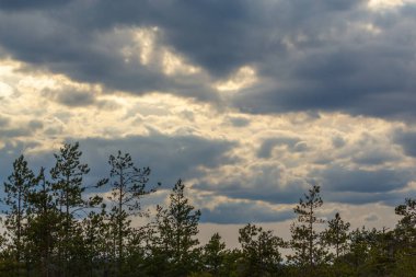 Gri gökyüzünde gök gürültülü bulutlar. Güzel arkaplan.