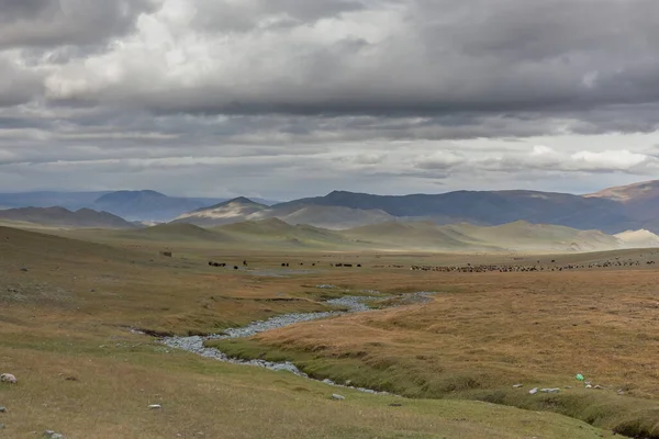 Типовий Вид Монгольський Пейзаж Монгольський Алтай Монголія — стокове фото