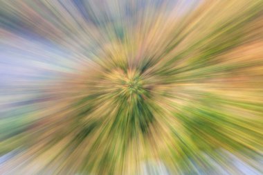 Soyut fotoğraf, sonbaharda orman hareket ve yakınlaştırmanın farklı etkileriyle fotoğraflanmış. Renkli desenli arka plan. uzun deklanşör hızı.