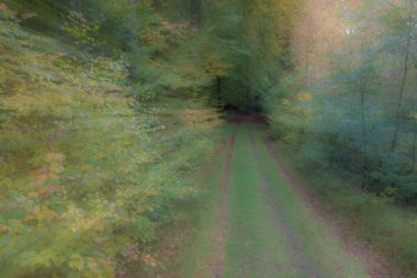 Soyut fotoğraf, Summar 'daki orman yolu farklı hareket ve yakınlaştırma efektleriyle fotoğraflanmış. Renkli desenli arka plan. uzun deklanşör hızı.
