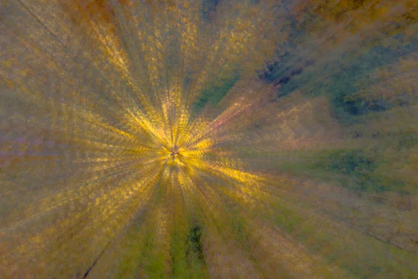 Foto Abstrata Floresta Outono Fotografada Com Diferentes Efeitos Movimento Zoom — Fotografia de Stock