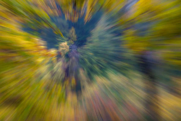 Abstract Photo Forest Autumn Photographed Different Effects Motion Zoom Colorful — Stock Photo, Image