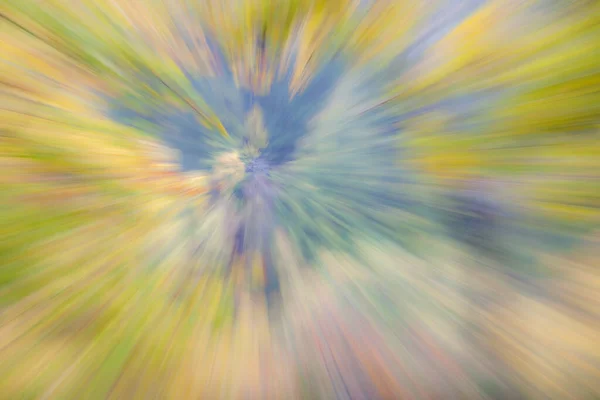 Abstract Photo Forest Autumn Photographed Different Effects Motion Zoom Colorful — Stock Photo, Image