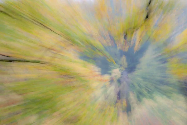 Photo Abstraite Forêt Automne Photographiée Avec Différents Effets Mouvement Zoom — Photo