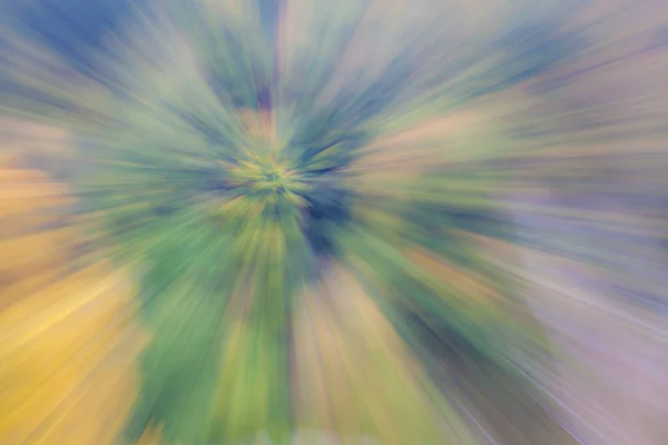 Abstract Photo Forest Autumn Photographed Different Effects Motion Zoom Colorful — Stock Photo, Image