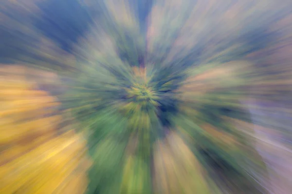 Abstract Photo Forest Autumn Photographed Different Effects Motion Zoom Colorful — Stock Photo, Image