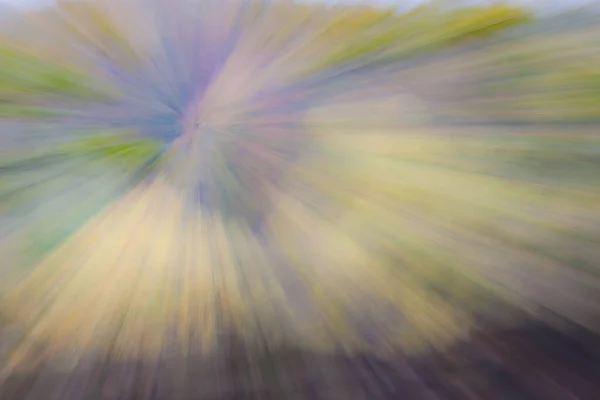 Abstract Photo Forest Autumn Photographed Different Effects Motion Zoom Colorful — Stock Photo, Image