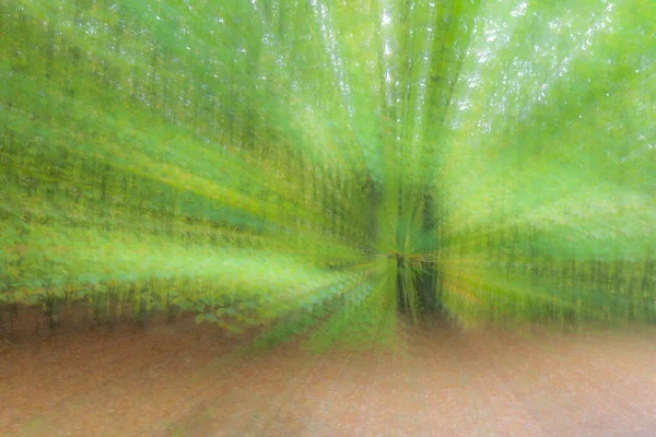 Streszczenie Zdjęcia Las Podsumowaniu Sfotografowany Różnymi Efektami Ruchu Zoomu Kolorowe — Zdjęcie stockowe