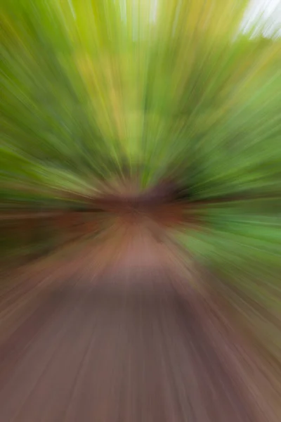 Abstract Photo Forest Road Summar Photographed Different Effects Motion Zoom — Stock Photo, Image