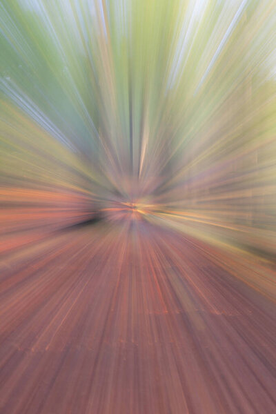 Abstract photo, forest in autumn photographed with different effects of motion and zoom. Colorful textured background. long shutter speed.