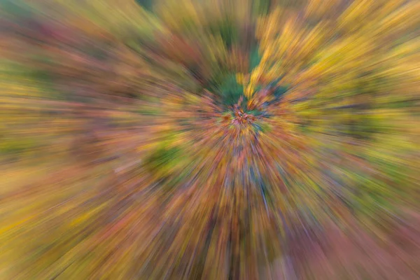 Abstract Photo Forest Autumn Photographed Different Effects Motion Zoom Colorful — Stock Photo, Image