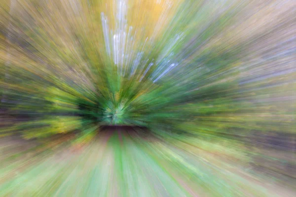 Streszczenie Zdjęcia Leśna Droga Skrócie Sfotografowana Różnymi Efektami Ruchu Zoomu — Zdjęcie stockowe