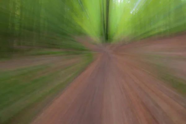 Abstract Photo Forest Road Summar Photographed Different Effects Motion Zoom — Stock Photo, Image