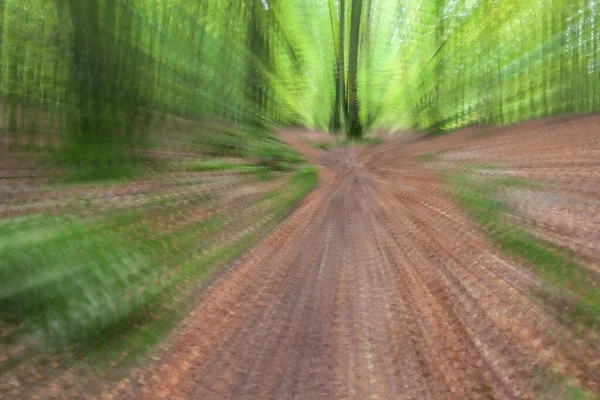 Streszczenie Zdjęcia Leśna Droga Skrócie Sfotografowana Różnymi Efektami Ruchu Zoomu — Zdjęcie stockowe