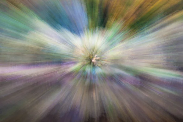 Abstract Photo Forest Autumn Photographed Different Effects Motion Zoom Colorful — Stock Photo, Image