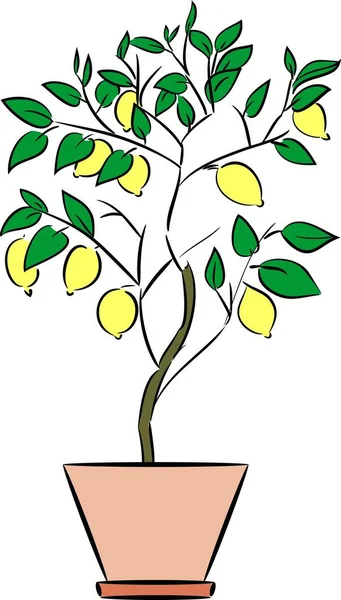 Blomkruka Med Lemon Tree — Stock vektor