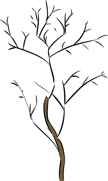 Baum Ohne Blätter Auf Weißem Hintergrund — Stockvektor