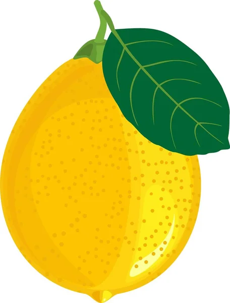 Limón Amarillo Con Hoja Verde Sobre Fondo Blanco — Vector de stock