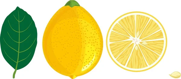 黄柠檬绿叶 — 图库矢量图片