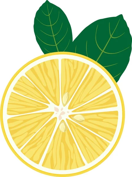 Rebanada Limón Con Hojas — Vector de stock