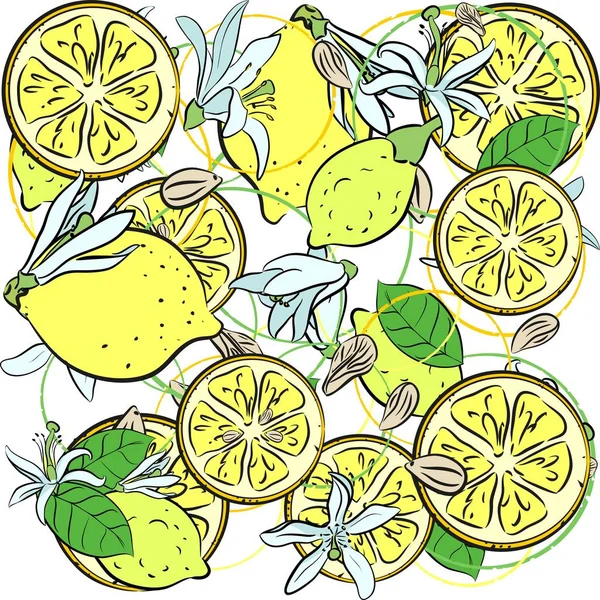 Lemons Lemon Slices Lemon Flowers — Stock Vector