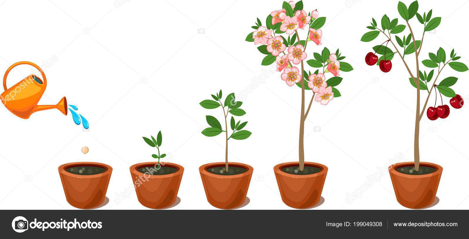 planten groeien planten groeien