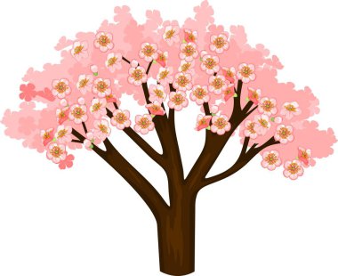 Beyaz arka plan üzerinde pembe sakura ağacı çiçek açan 