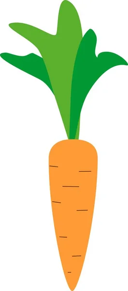 Мультфильм Морковь Белом Фоне — стоковый вектор