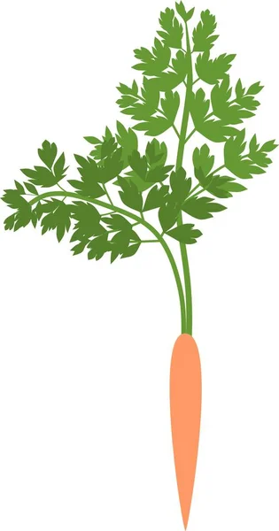 Silhouette Der Orangefarbenen Karotte Mit Grünen Blättern — Stockvektor