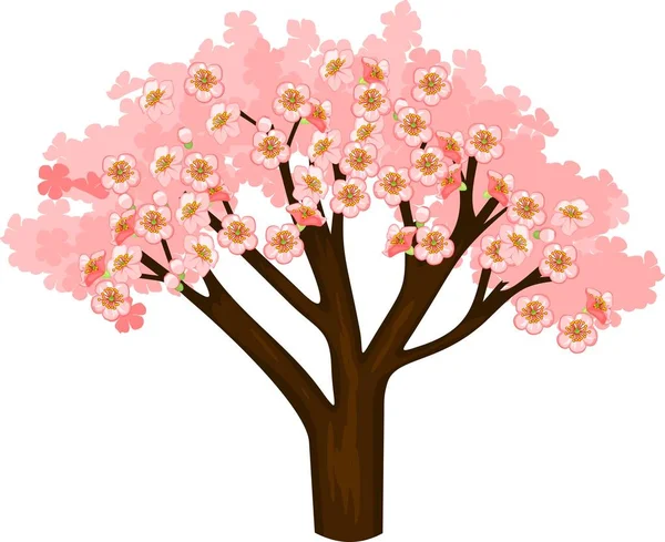 Blooming Pink Sakura Tree White Background — Stock Vector