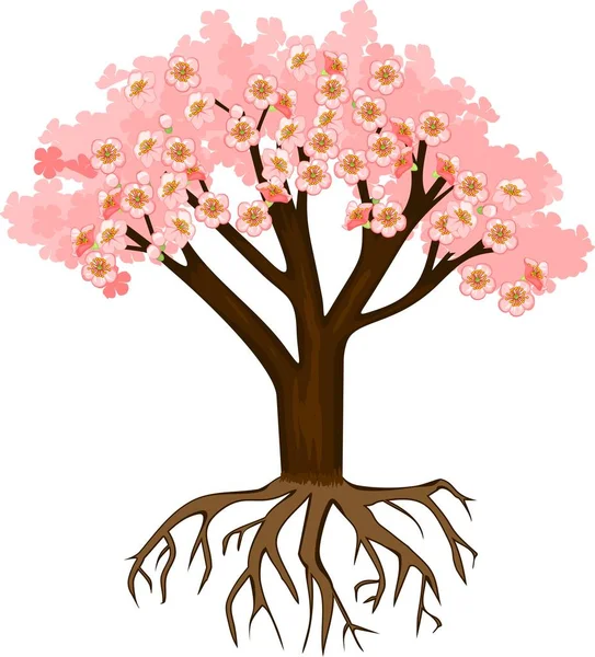 Bloeiende Roze Sakura Boom Witte Achtergrond Boom Met Wortelgestel — Stockvector