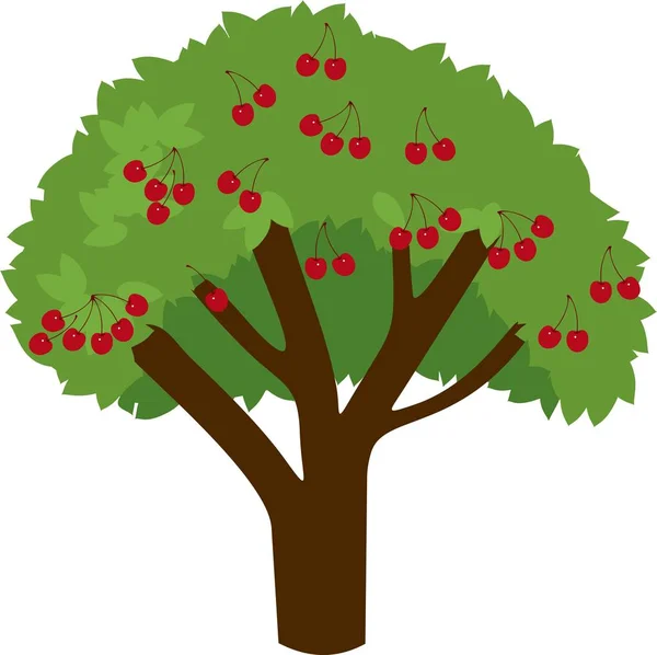 Wiśniowe Drzewo Dojrzałych Wiśni Zielonych Liści Białym Tle — Wektor stockowy
