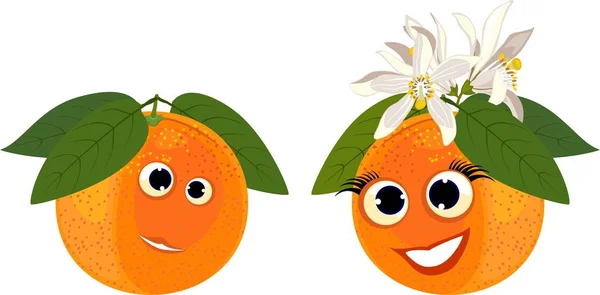 Couple Funny Oranges Personification Gender Symbols — Stock Vector