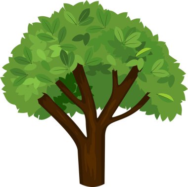 Yaz ağaç beyaz zemin üzerine yeşil yeşillik ile