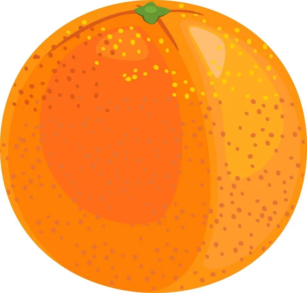 Naranja Sobre Fondo Blanco — Vector de stock