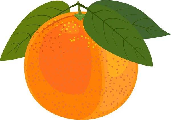 Orange Med Gröna Blad Vit Bakgrund — Stock vektor
