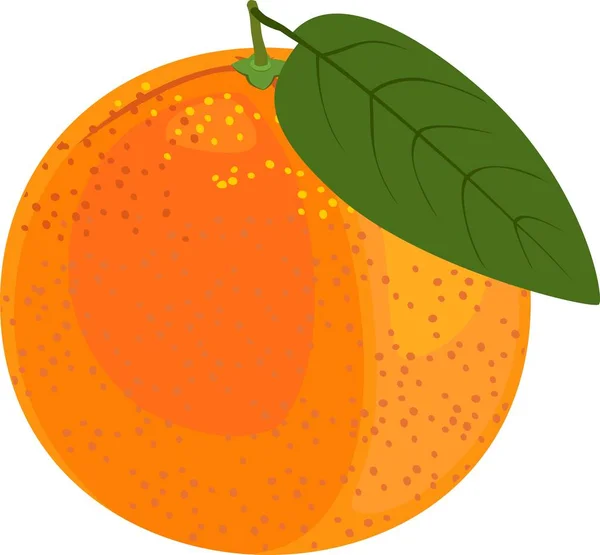 Naranja Con Hoja Verde Sobre Fondo Blanco — Vector de stock