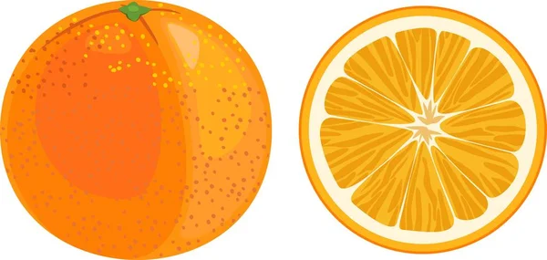 白い背景のオレンジとオレンジ スライス — ストックベクタ